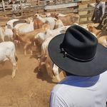 Pablo Cuauhtémoc Hernández López - @cuauhtemoc_lopez - Instagram