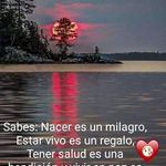 Cuauhtemoc Rivera Jaramillo - @cuauhtemocriverajaramillo - Instagram