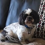 Cuba Brown - @cuba.brown - Instagram