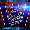 Cubs fan - @chicagocubs_ - TikTok