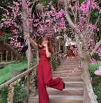 Cúc Dại - Facebook