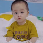 Hoa Cúc Dại - Facebook