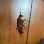 cục dàng của chị - @winni_1802 - Instagram