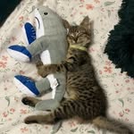cục dàng xin đừng đối xử bạc - @_hiwue.lam_ - Instagram
