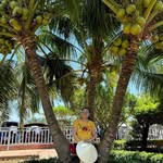 Cuc Dao - @cucdao1967 - Instagram