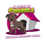 La Cucha de Chimuela - @la_cucha_de_chimuela - Instagram