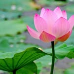 Cuc Hoang - @cuc3258 - Instagram
