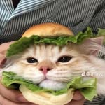Lưu Thị Cúc - @_cucluu_ - Instagram
