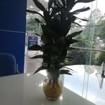 Cuc Ly - @cuc.ly.16503323 - Instagram