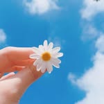 Cuc Ly - @lycuc - Instagram