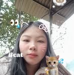 Ly Cuc Ly - Facebook