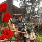 Cuc Phan - @cuc.phan - Instagram