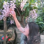 Cúc Phùng - Facebook