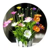 Cuc Phung - @cuc.phung - TikTok
