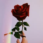 Cullen_hart - @xcullen_rose - Instagram