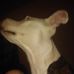 Cullen Taylor - Facebook