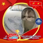 Cương  Quách - @kuongnek - Instagram