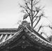 Yen Cuong Tat - Facebook
