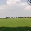 Cường võ - @cng.v5106 - TikTok