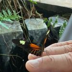 Curt Baker - @wcurtisb - Instagram