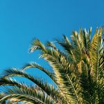 Curtis Baker - @curtisbaker - Instagram