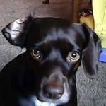 Curt Beatty - @leftywi - Instagram
