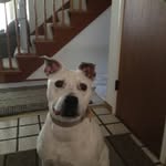 Curt Becker - @curtisbecker5 - Instagram