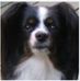 Curt Becker - Facebook