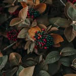 Curt Casper - @curt61808 - Instagram