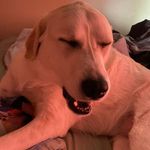 Bailey Farmer - @curt.farmer712 - Instagram