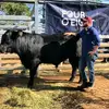 Curtis Endycott - @farmer_curt - TikTok