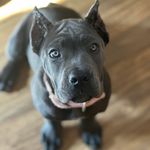 Robert Curtis Fields - @curtfields003 - Instagram