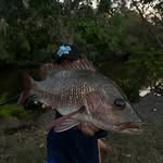 Curt - @curt.fishing - Instagram