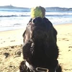 Curtis Oettel Flaherty - @curtisof - Instagram