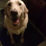 Mark Matousek - @curtflood21 - Instagram