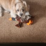 Kurt Foley - @kurtfoley12 - Instagram