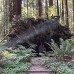 Curt Fraser - @curt.fraser.64 - Instagram