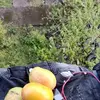 Curtis Fraser - @curtis.fraser2 - TikTok
