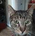Curtis Freeman - Facebook