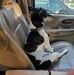 Kurt Friedrichsen - Facebook