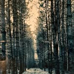 Curt Goodwick - @curt.goody - Instagram