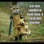 Curtis Gosnell - @curtisgosnell - Instagram