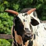 Curt Graham - @kag8874.kg - Instagram