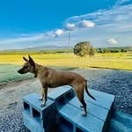 Curt Graham - @clgraham82 - Instagram