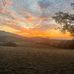 Curt Gross - Facebook