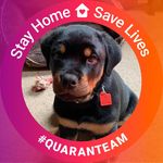 Curt N Julie Hanson - @juliehanson992 - Instagram