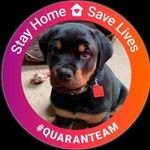 Curt N Julie Hanson - @juliehanson9923 - Instagram