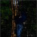 Curtis Harrington - Facebook