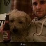 Curtis Harrison - @curtharrison25 - Instagram