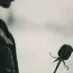 curtis_harvey - @curtis_harvey - TikTok